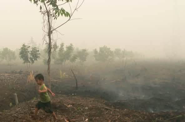 Een kindje loopt over smeulende veenbodem in Katingan, Borneo