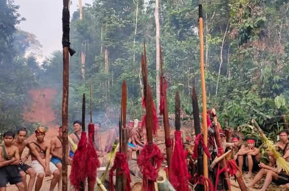 De inheemse Dayak Tomun uit Kinipan verdedigen zich tegen de ontbossing van hun bos door het palmoliebedrijf SML