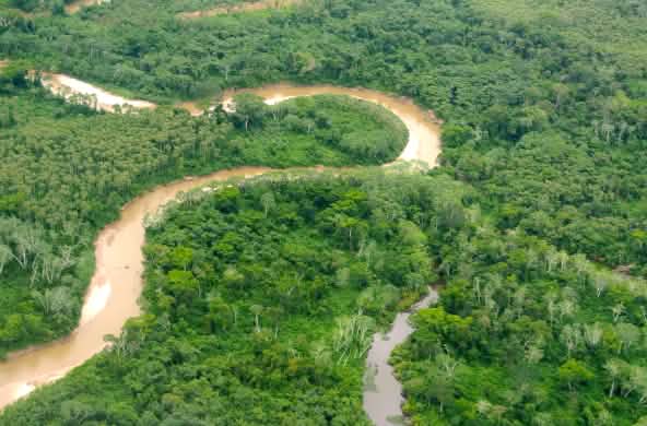 De Amazone in Peru vanuit de lucht