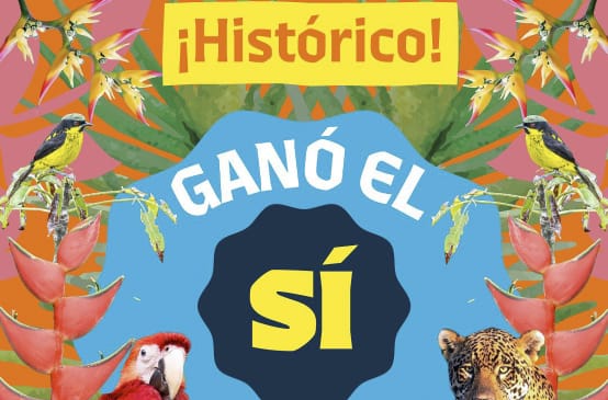 Er is met JA (in het Spaans: SÍ) gestemd voor Yasuni