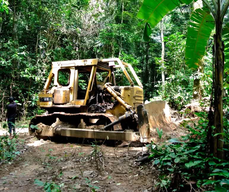 Een bulldozer in het Cross River National Park Bulldozer in het Cross River National Park