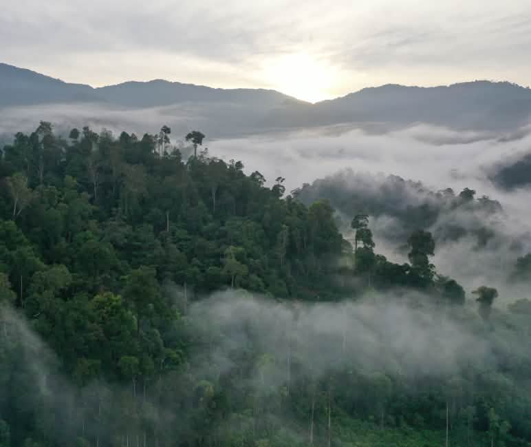 Het operatiegebied: van de Tripa-moerassen tot de bergen van de Gayo-highlands. Wolken op beboste bergen