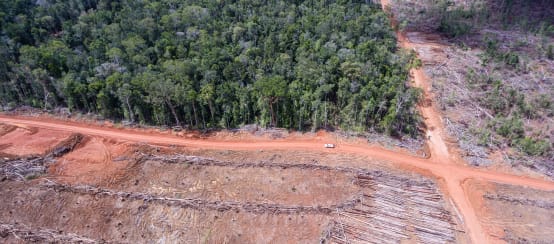 Uit vogelvlucht: Gekapt regenbos voor een palmolieplantage van het bedrijf Korindo in Papua, Indonesië