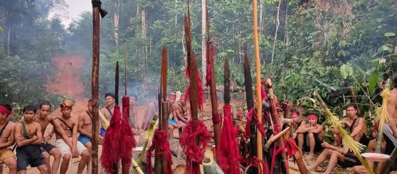 Het regenwoud kan alleen bewaard blijven als de rechten van de inheemse bevolking gerespecteerd worden. Hier protesteren de inheemse Dayak voor het behoud van hun bos in het dorp Kinipan. De inheemse Dayak Tomun uit Kinipan verdedigen zich tegen de ontbossing van hun bos door het palmoliebedrijf SML
