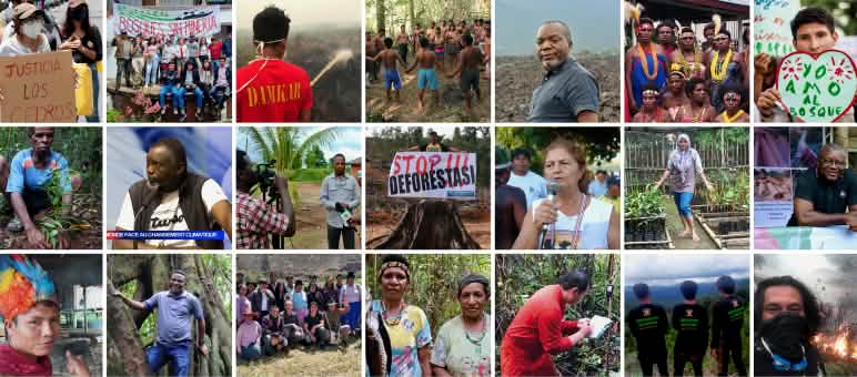 Een keuze van partners van Red het Regenwoud – De milieubescherming heeft vele handen en hoofden nodig Een collage van enkele partners van Red het Regenwoud