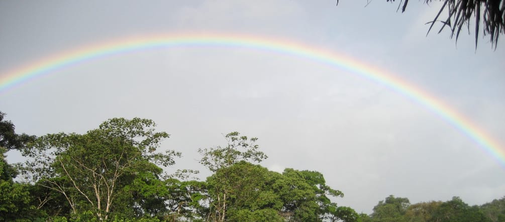 Regenboog over het biosfeerreservaat Indio Maíz, Nicaragua