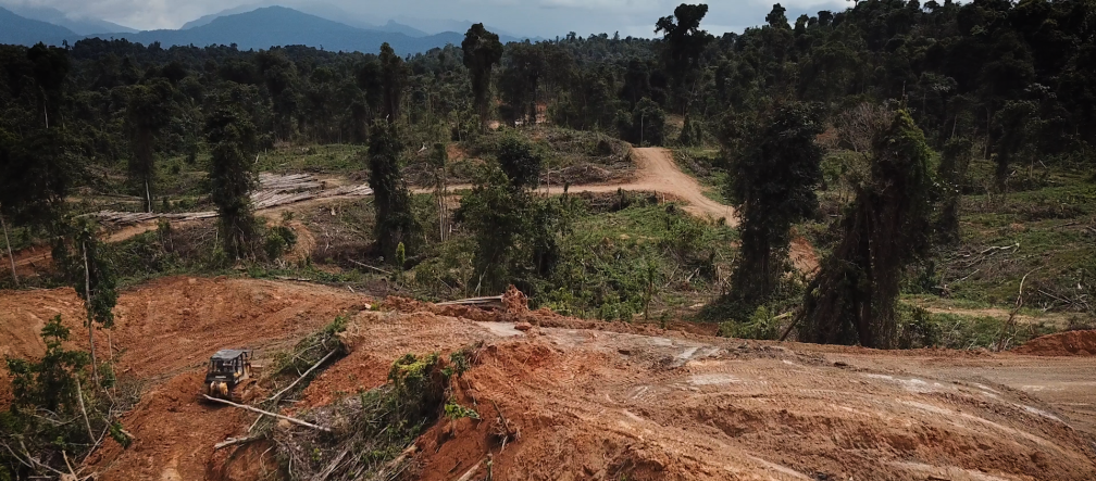 Rooiing in Sarawak om oliepalmen te kunnen planten