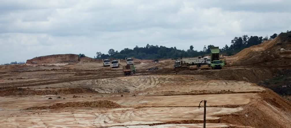 First Resources verwoest het bos van neusapen in de buurt van Balikpapan