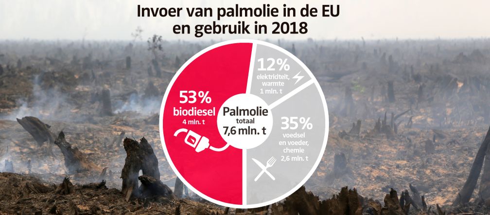 Invoer van palmolie in de EU en gebruik in 2018