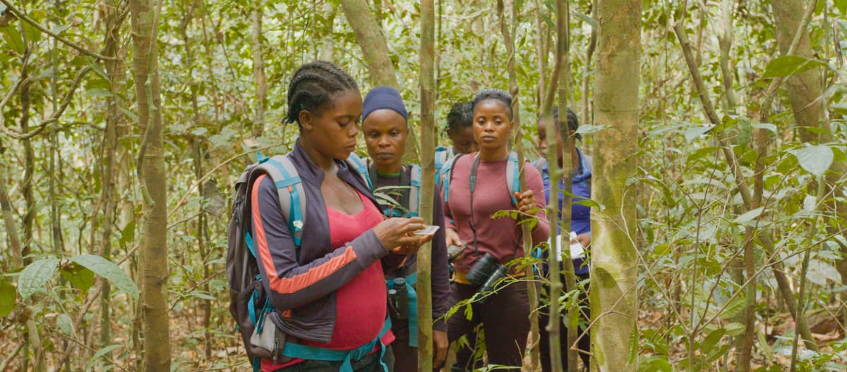 Ecoguards in het Liberiaanse regenwoud