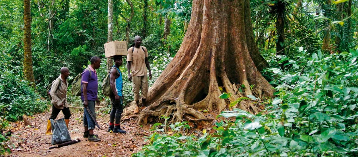 Ecoguards in het regenwoud Cross River in Nigeria