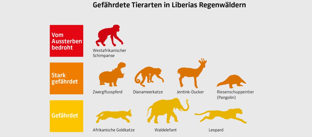 Grafiek van bedreigde diersoorten in Liberia (in het Duits)