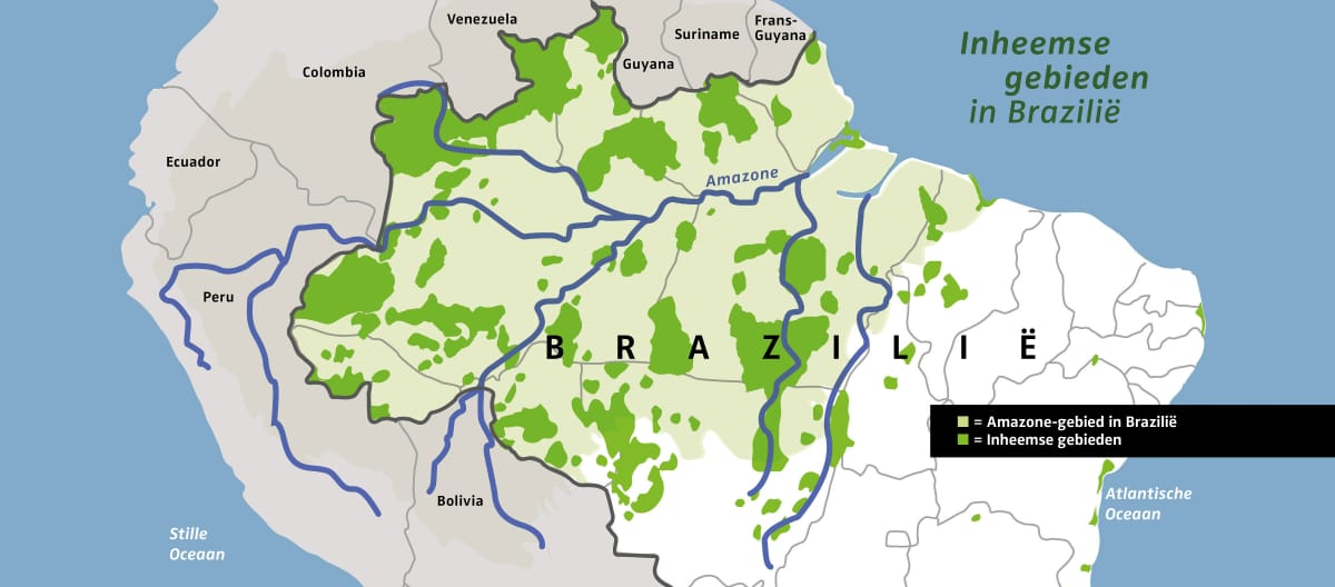 Het Braziliaanse Amazonegebied met in felgroen de inheemse territoria