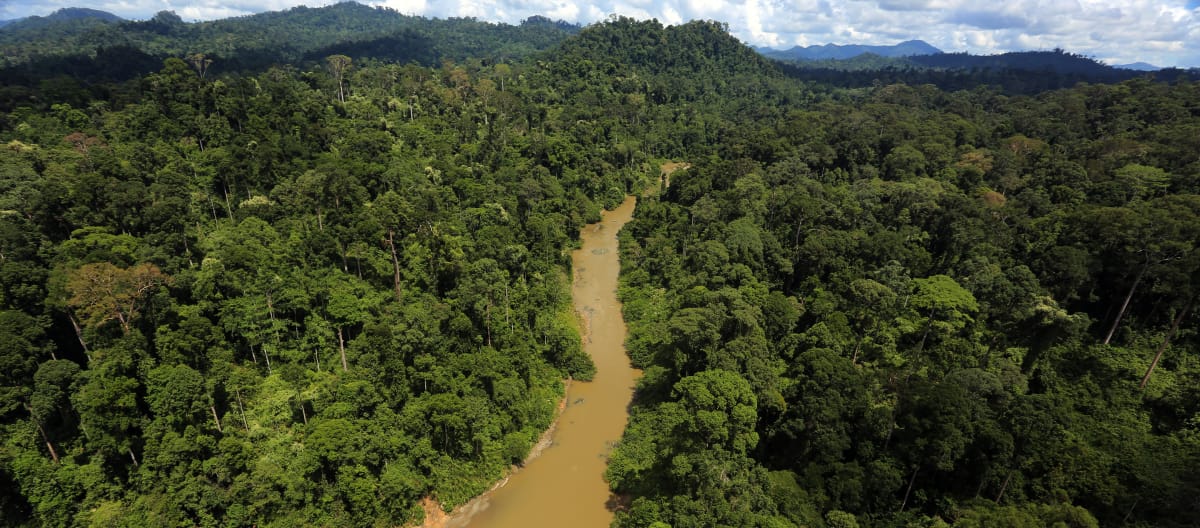 Een rivier in het regenwoud van Borneo in vogelvlucht.