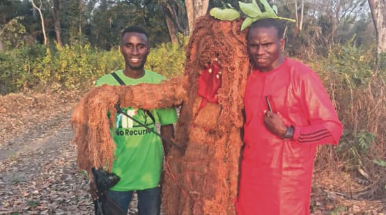 Spiritualiteit in Guinee-Bissau