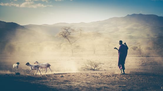 Veehouder in Tanzania, Masai
