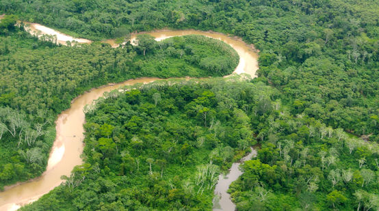 De Amazone in Peru vanuit de lucht