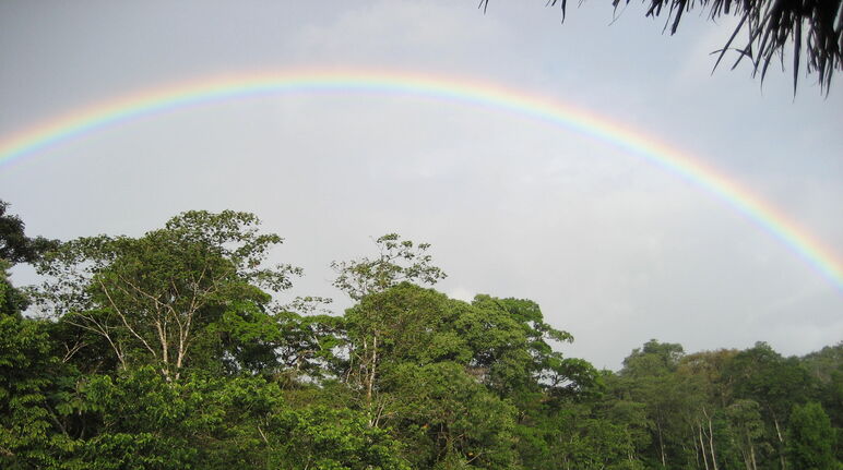 Regenboog over het biosfeerreservaat Indio Maíz, Nicaragua