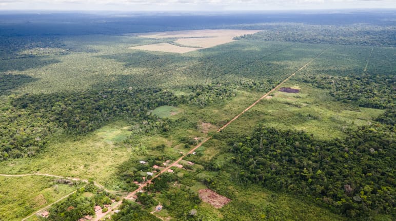 Luchtfoto van een klein dorp langs een kaarsrechte zandweg, met daarachter oliepalmplantages in het regenwoud.