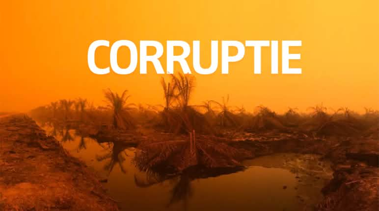 Branden in Sumatra + tekst CORRUPTIE