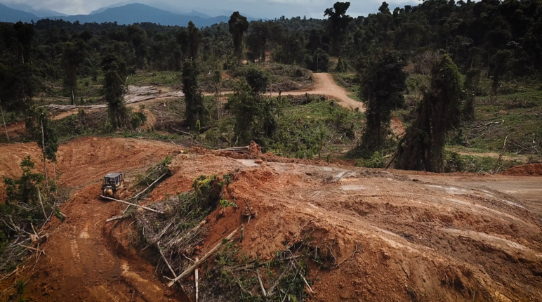 Rooiing in Sarawak om oliepalmen te kunnen planten