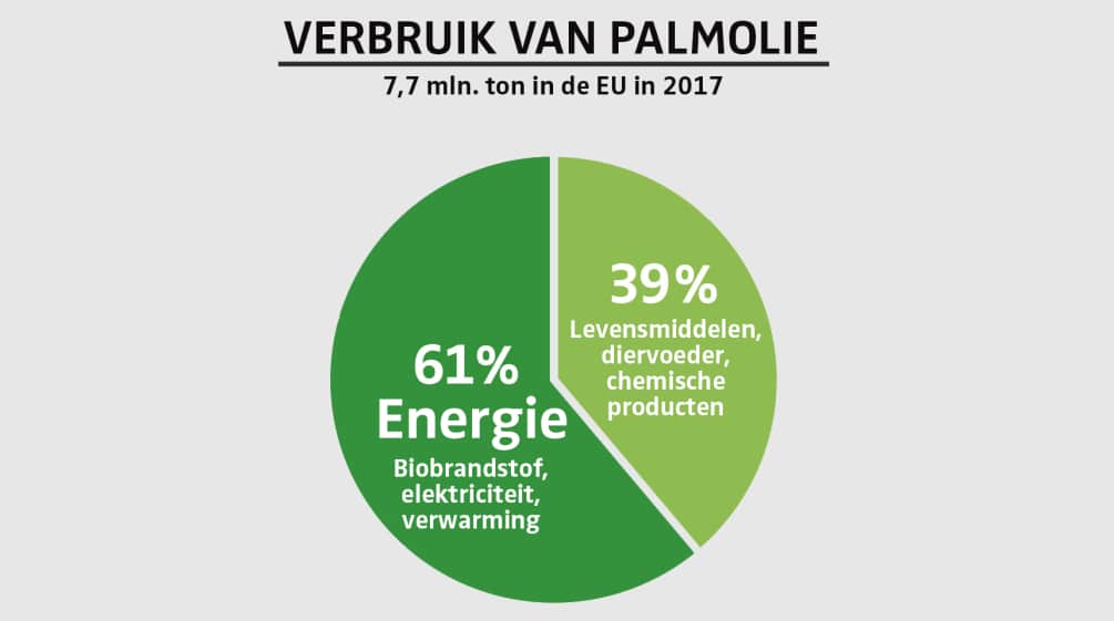 VERBRUIK VAN PALMOLIE IN 2017