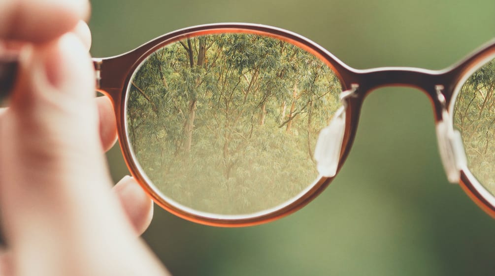 Door een bril ziet men het bos scherp