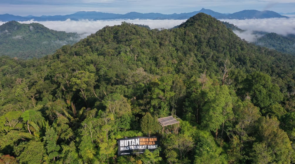 Banner van de organisatie Save our Borneo vanuit vogelvlucht