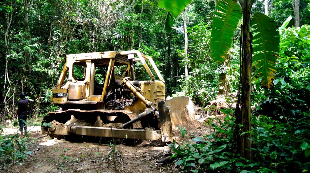 Bulldozer in het Cross River National Park